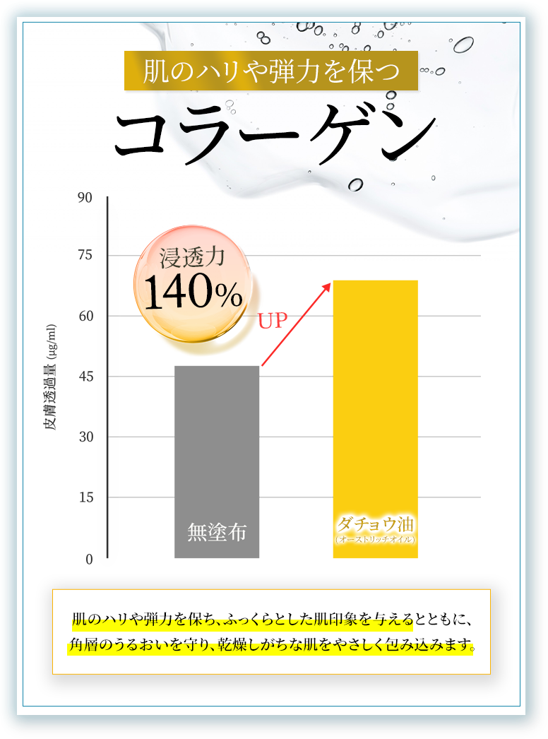 肌のハリや弾力を保つコラーゲン