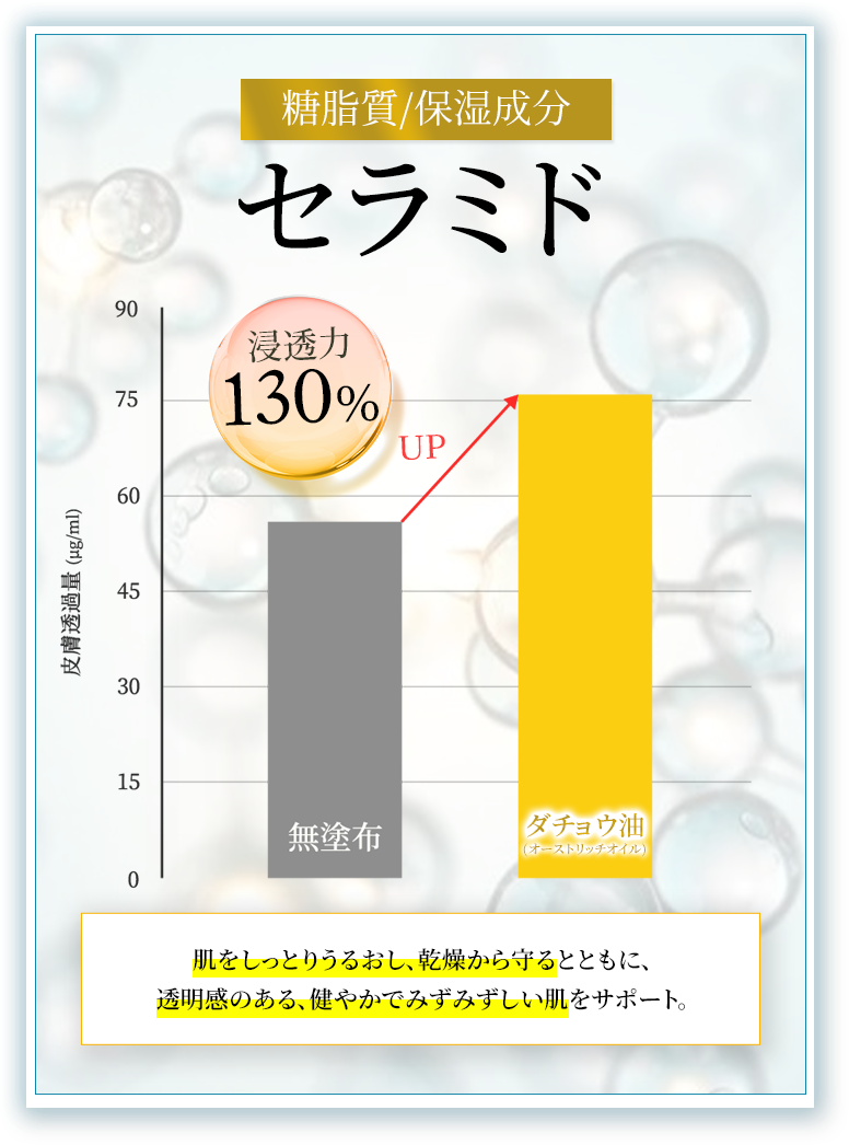 糖脂質/保湿成分のセラミド